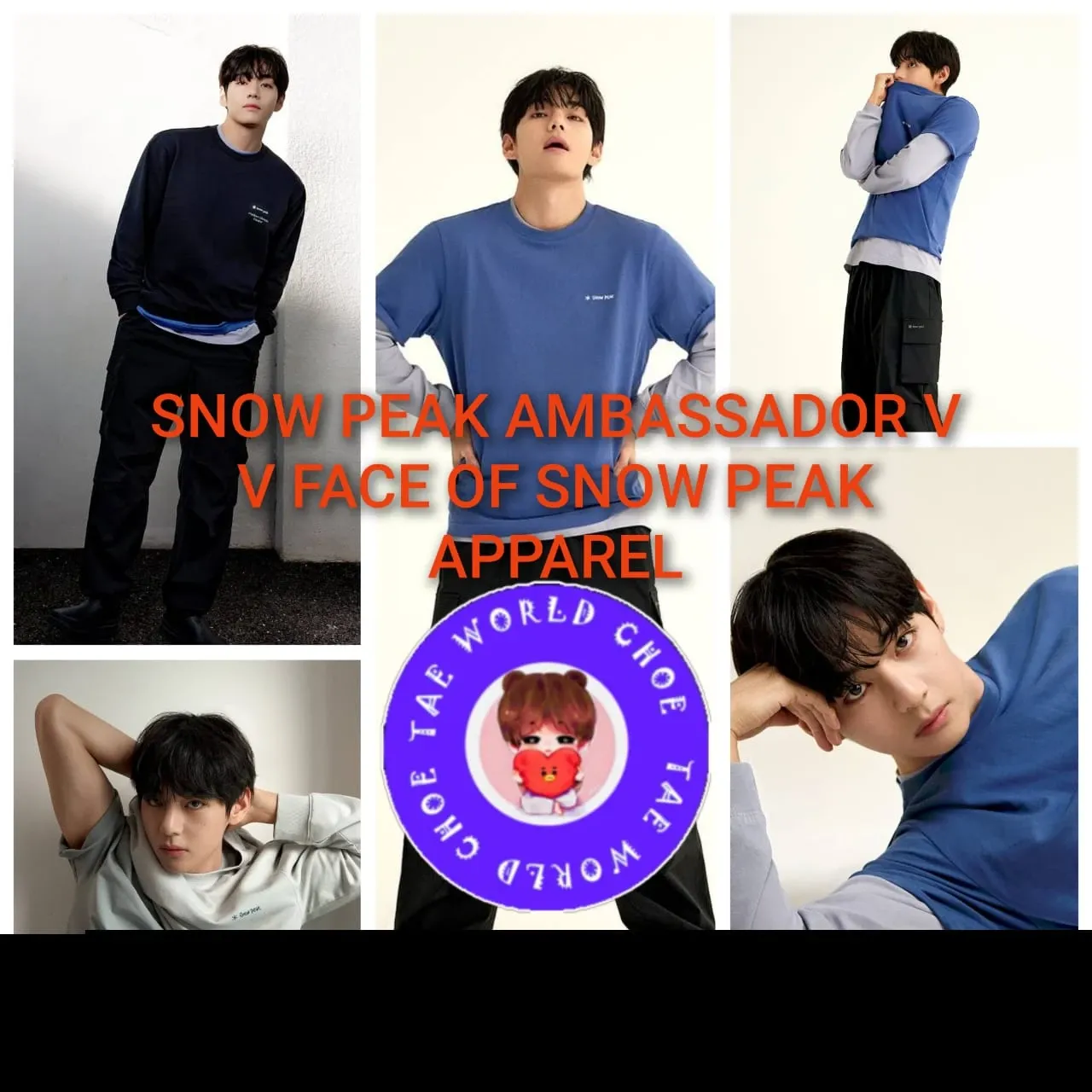 뷔 (방탄소년단) 팬이 찍은 순간