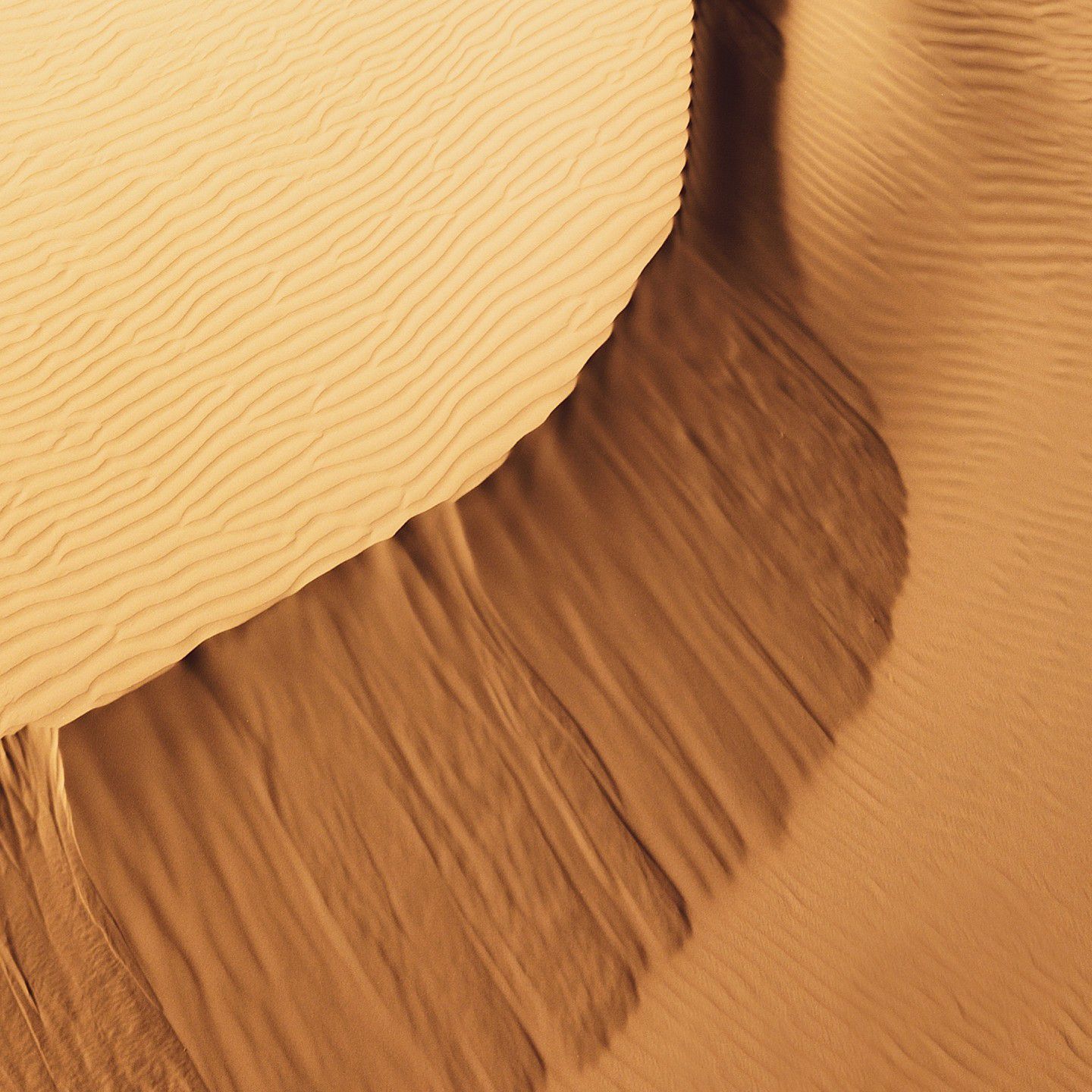 A moment captured by Lay (EXO)'s fan