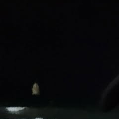 Recent activity shot of Kim Garam