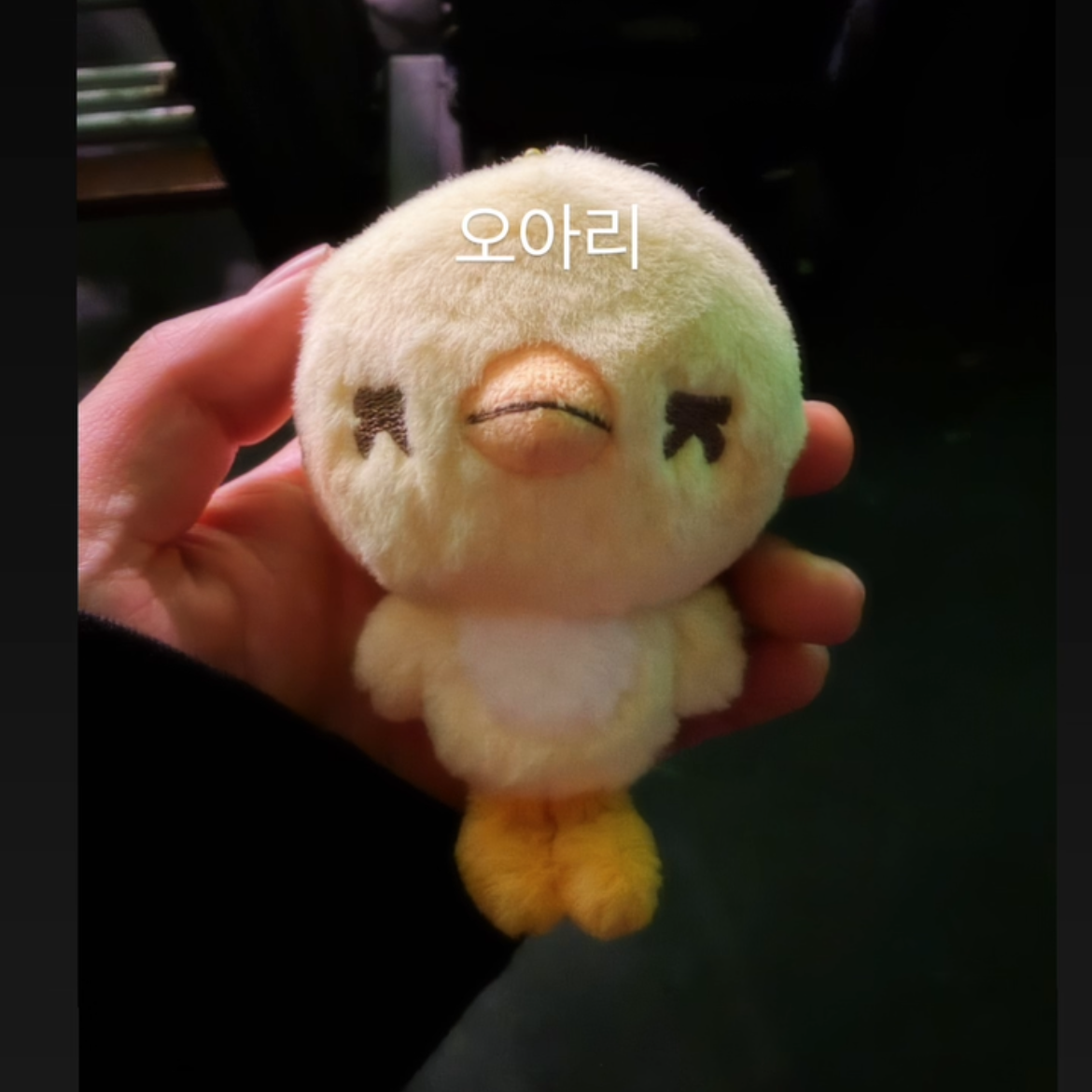 Recent activity shot of Sehun (EXO)