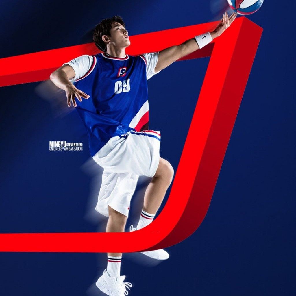 세븐틴 팬이 찍은 순간