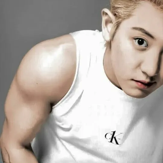 灿烈 (EXO)粉丝拍下的瞬间