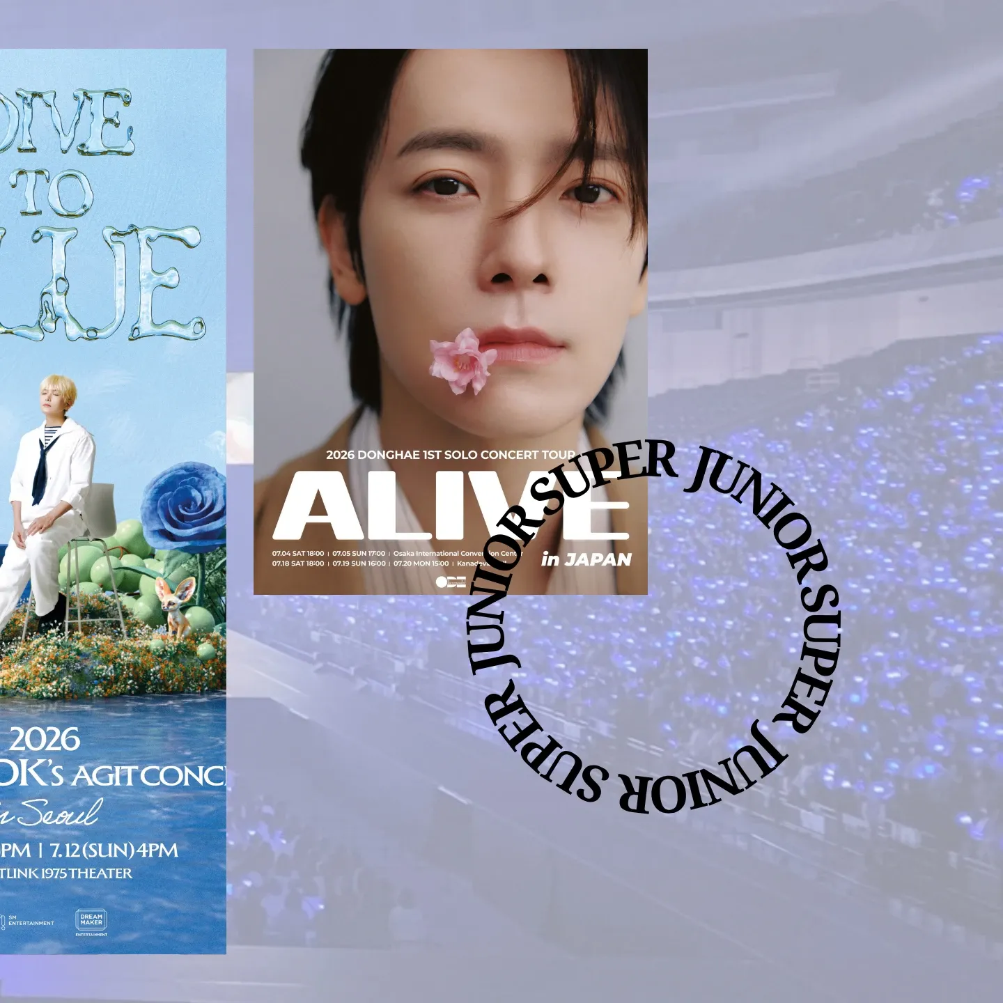 Momen yang diabadikan oleh penggemar Super Junior