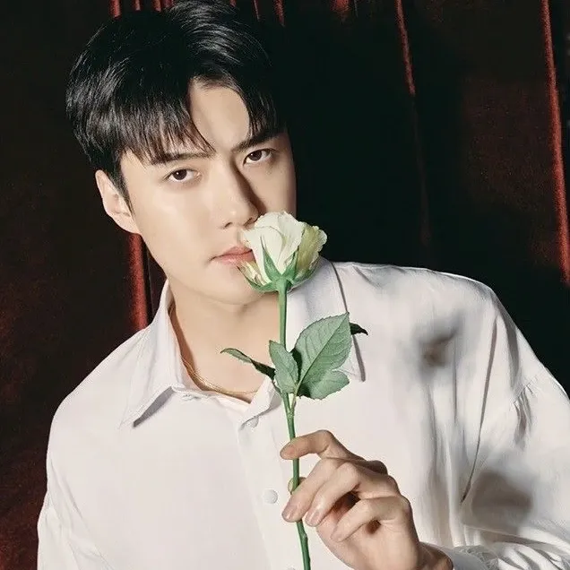 Recent activity shot of Sehun (EXO)