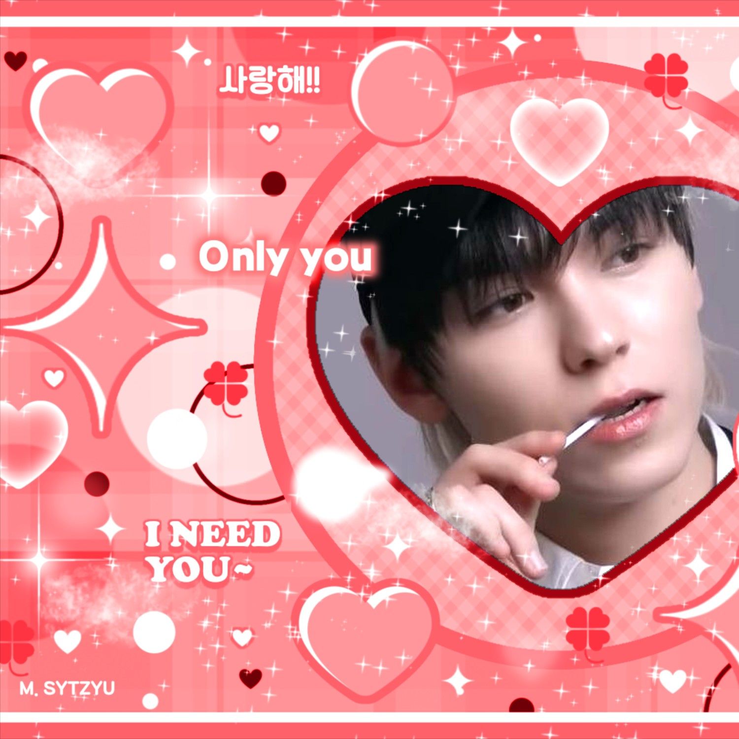 세븐틴 팬이 찍은 순간