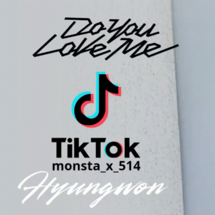 형원 (몬스타엑스) 팬이 찍은 순간