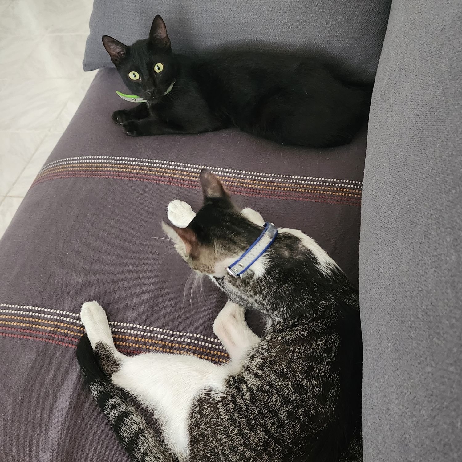 세븐틴의 비하인드 컷