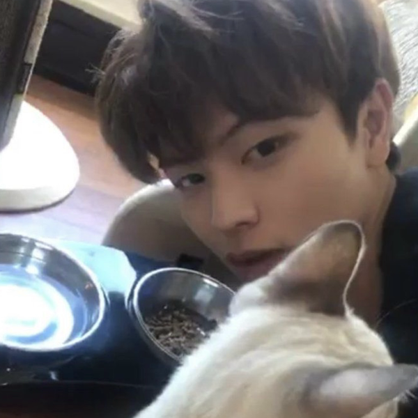 육성재 (비투비) 팬덤이 선택한 최고의 순간