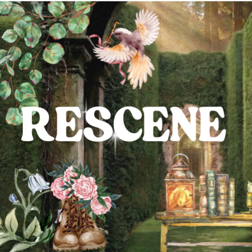 K-pop star post gaining attention now