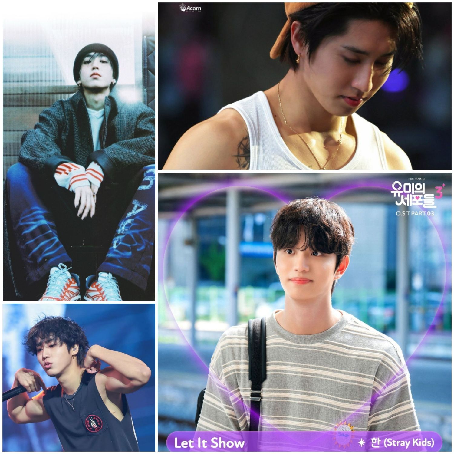 Stray Kids 팬이 찍은 순간