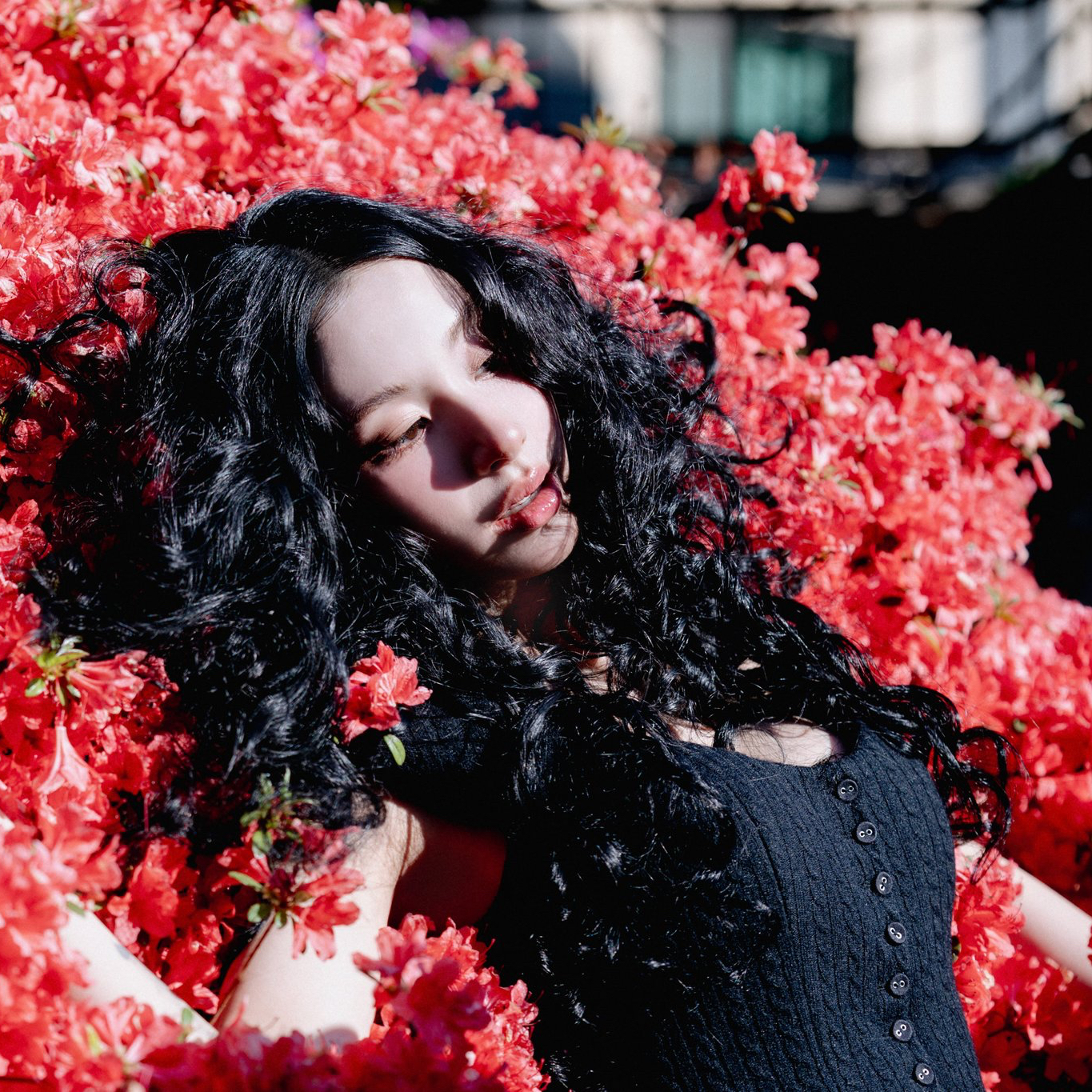 TWICE 최근 활동샷