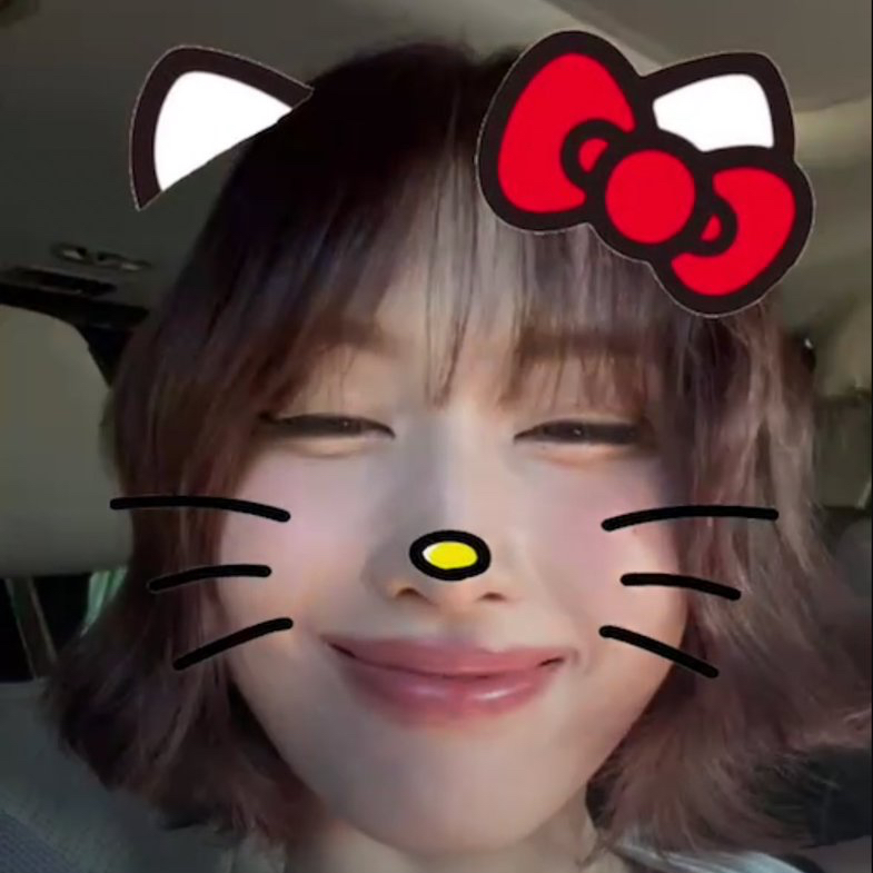 Momen yang diabadikan oleh penggemar Momo (TWICE)