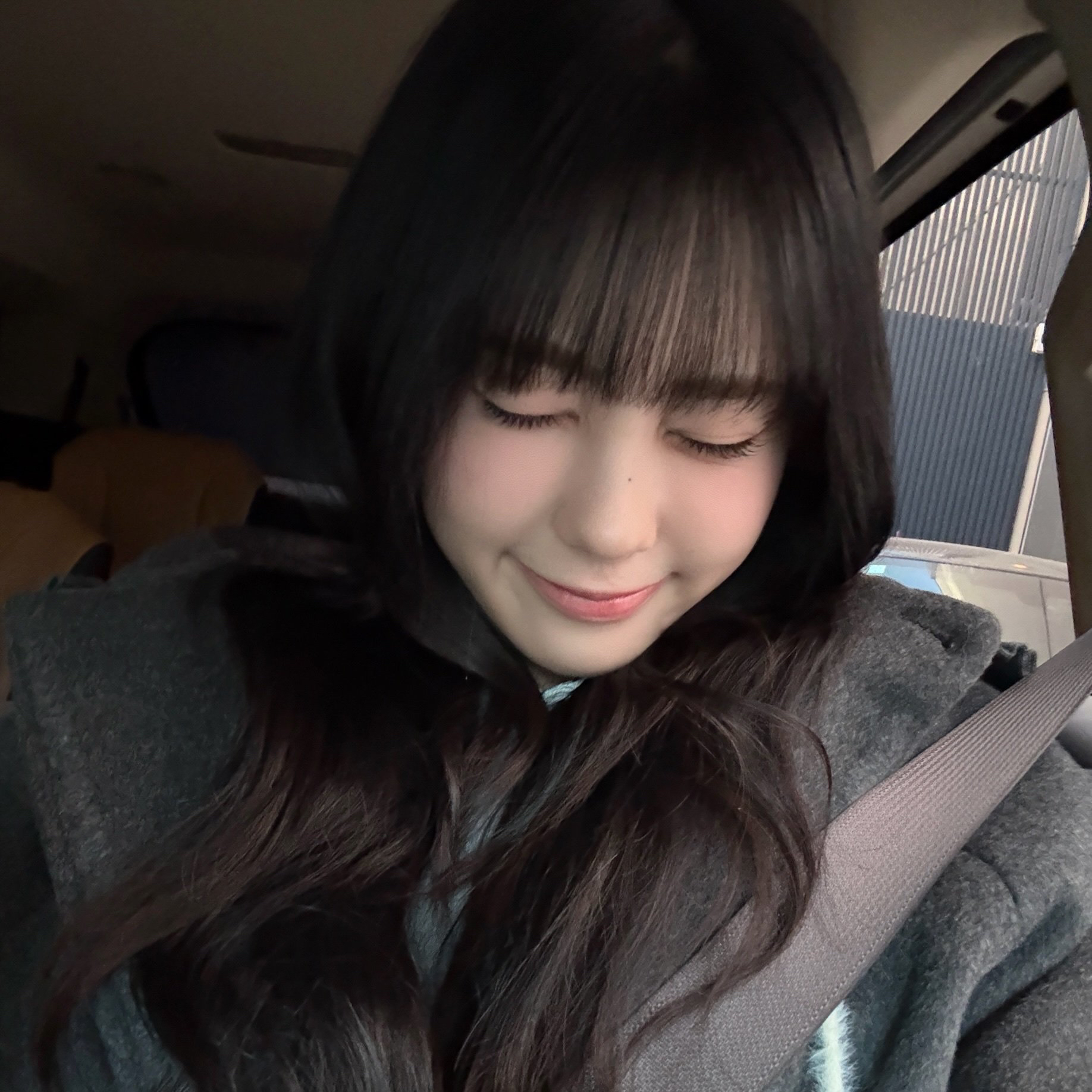 Recent activity shot of Koko (izna)