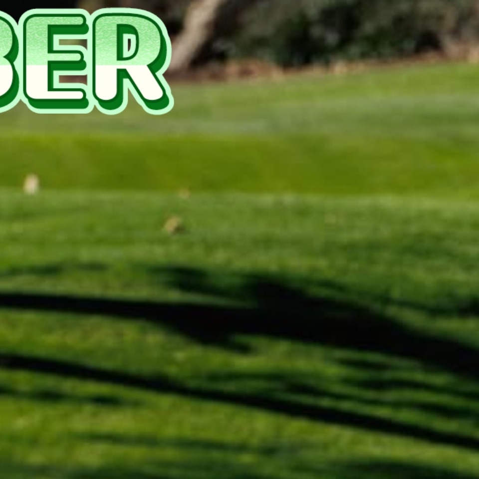 A moment captured by Justin Bieber's fan