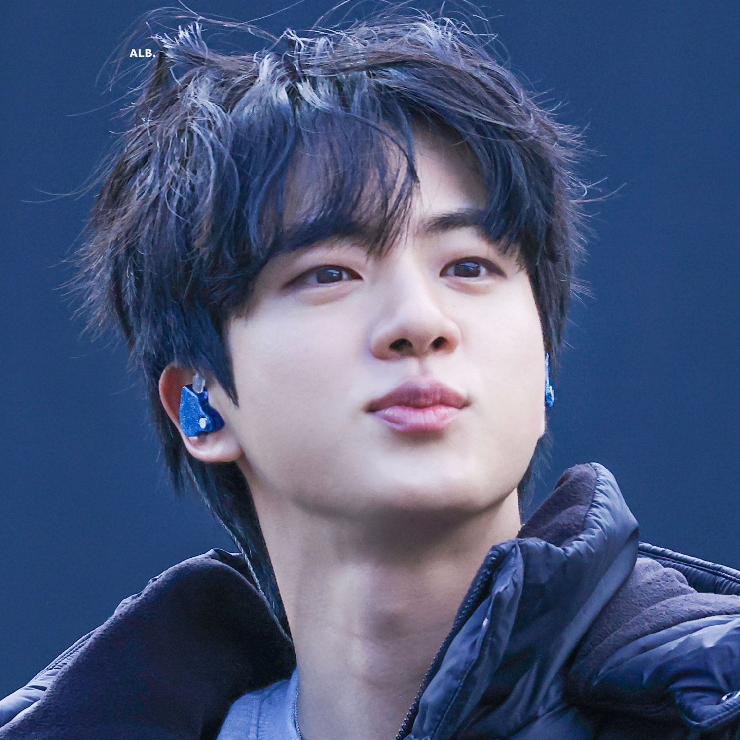 ジン (BTS)ファンが撮った瞬間