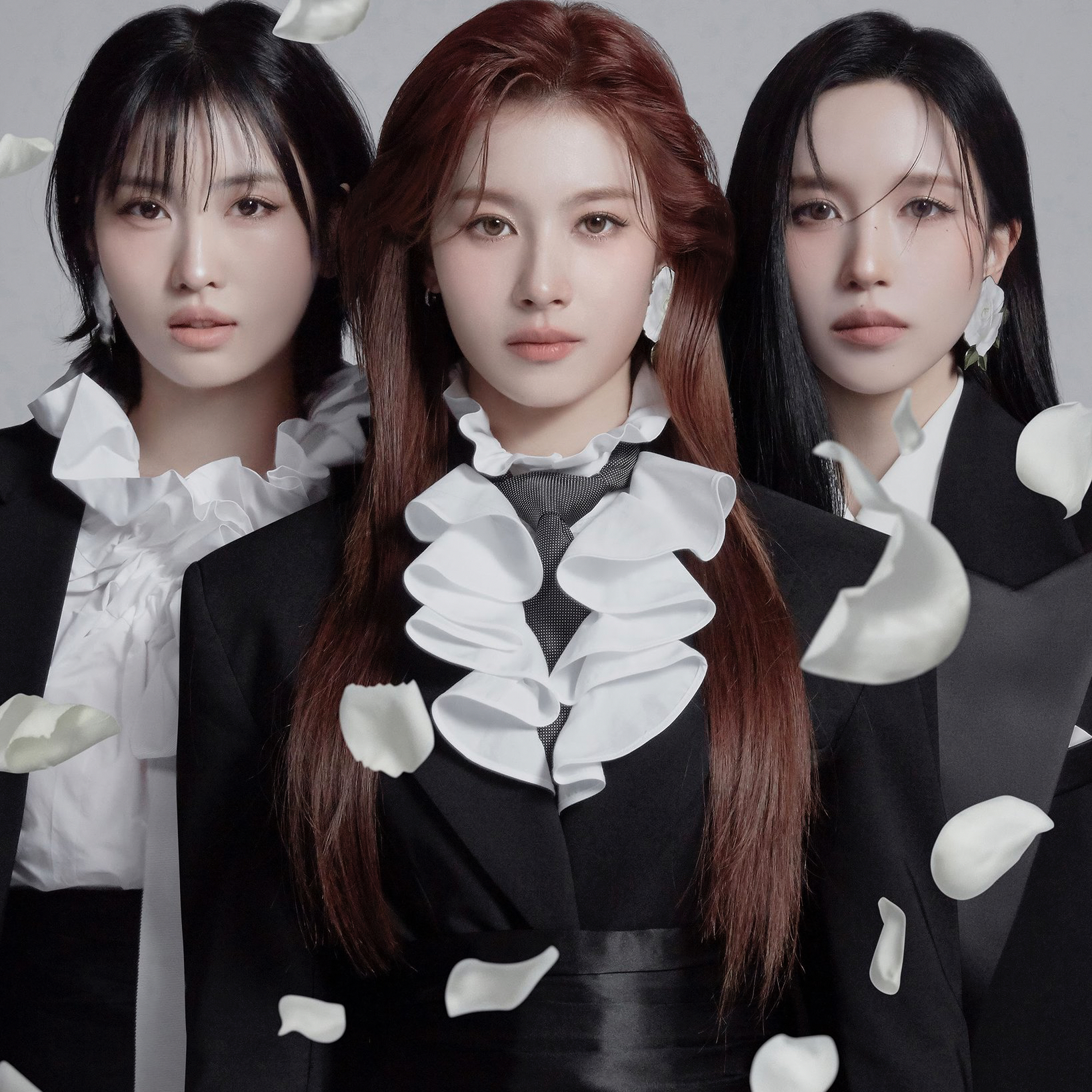 Recent activity shot of TWICE