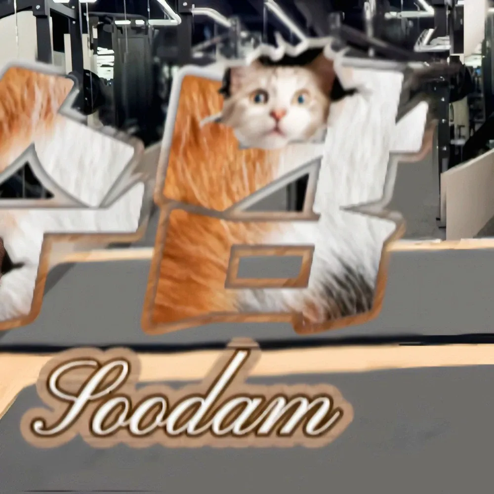 Behind-the-scenes cut of Soodam