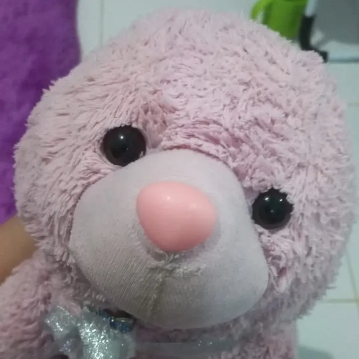 Momen yang diabadikan oleh penggemar EXO