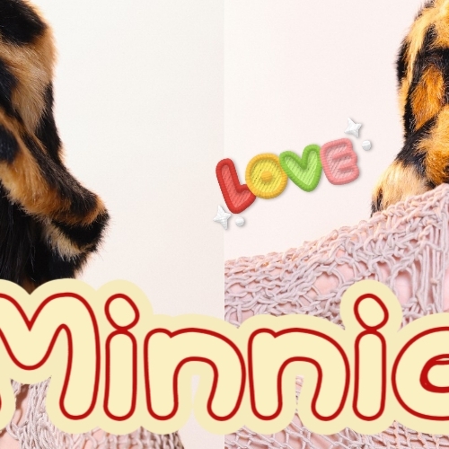 Latest photo of Minnie (i-dle)