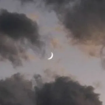 Recent activity shot of Yumeki