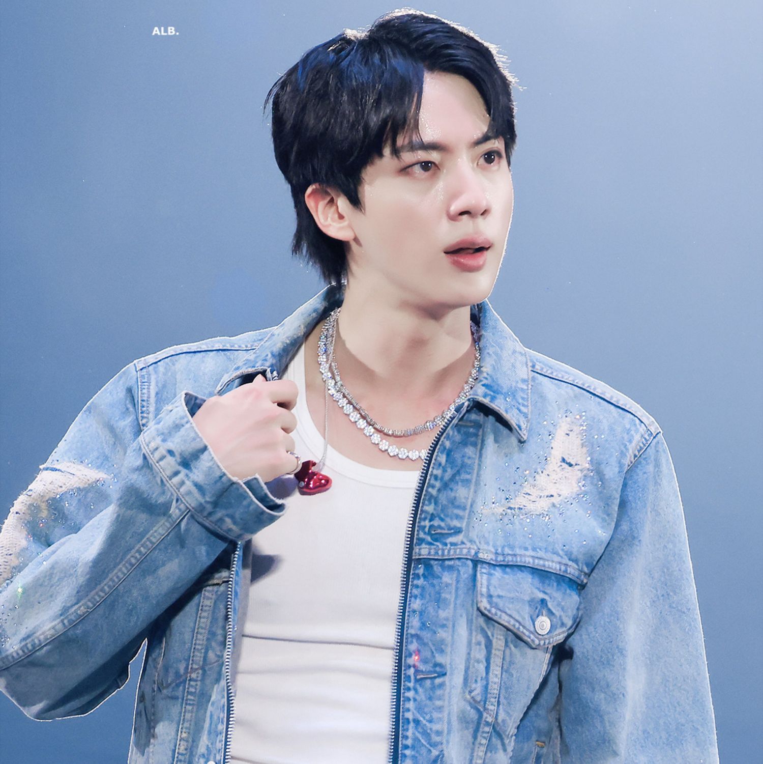 A moment captured by Jin (BTS)'s fan