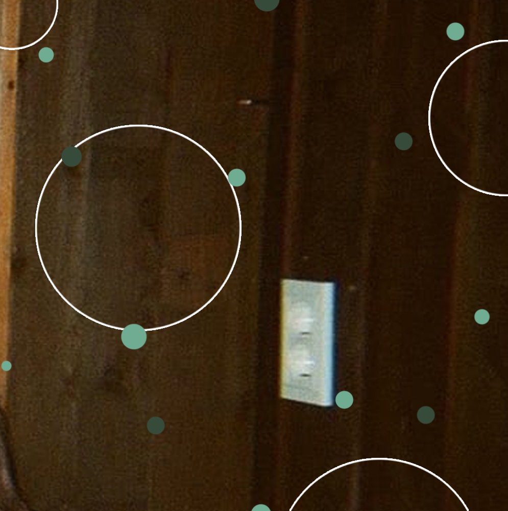 A moment captured by LOONA's fan