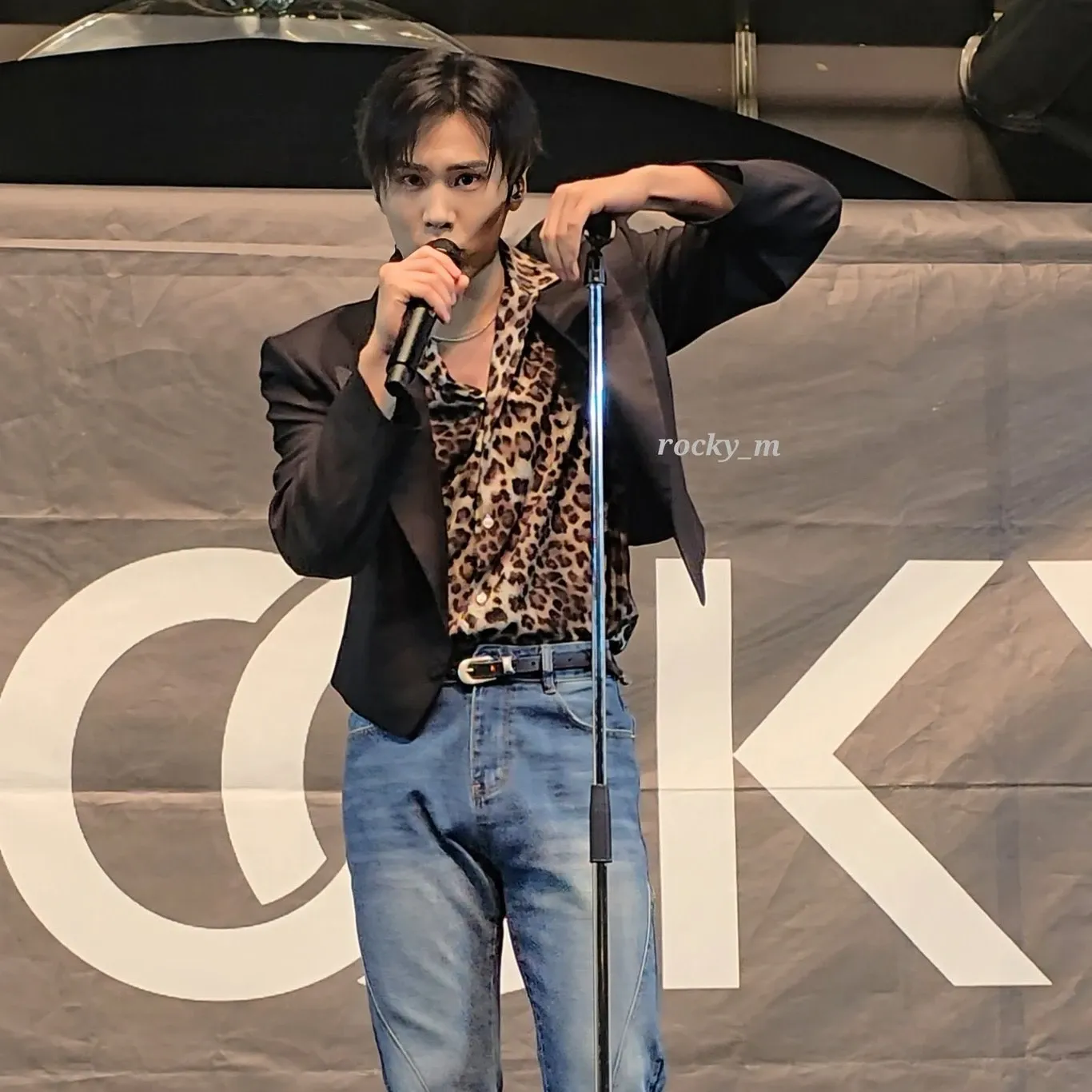Recent activity shot of Rocky