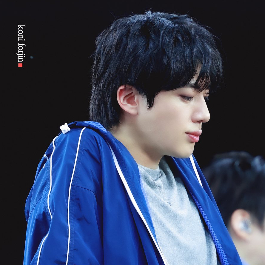 진 (방탄소년단) 팬이 찍은 순간