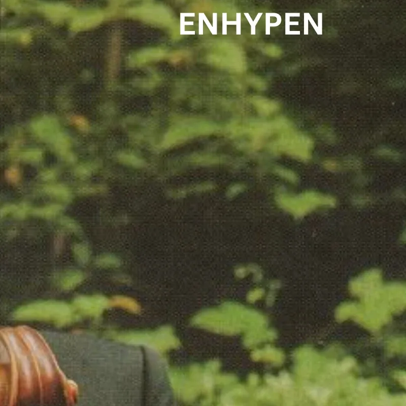 A moment captured by Sunghoon (ENHYPEN)'s fan