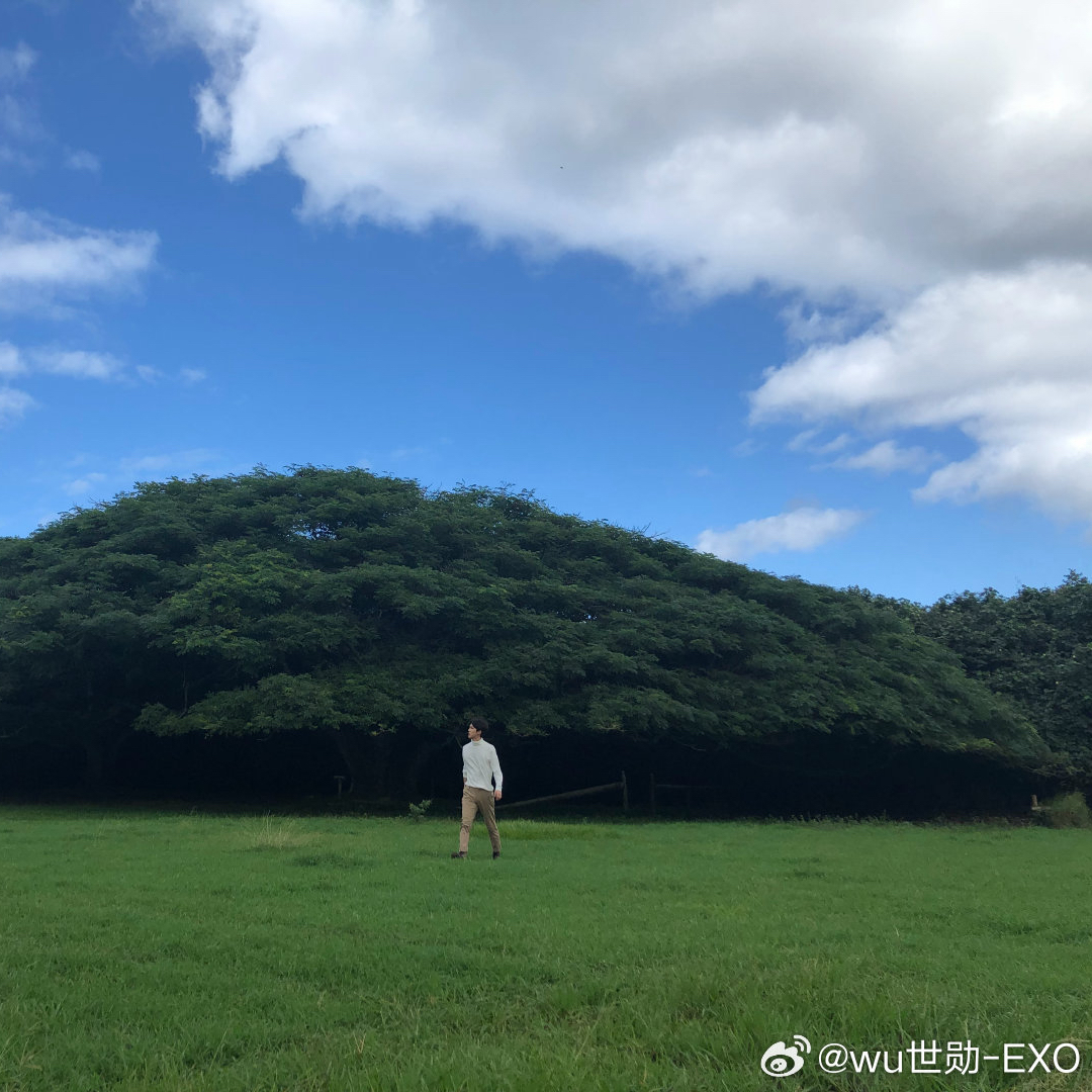 Behind-the-scenes cut of Sehun (EXO)