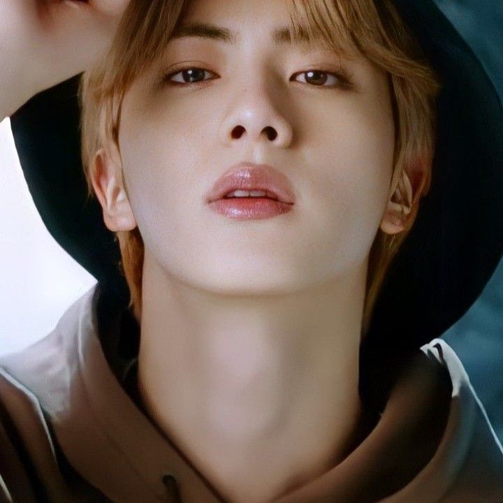 Momen yang diabadikan oleh penggemar Jin (BTS)