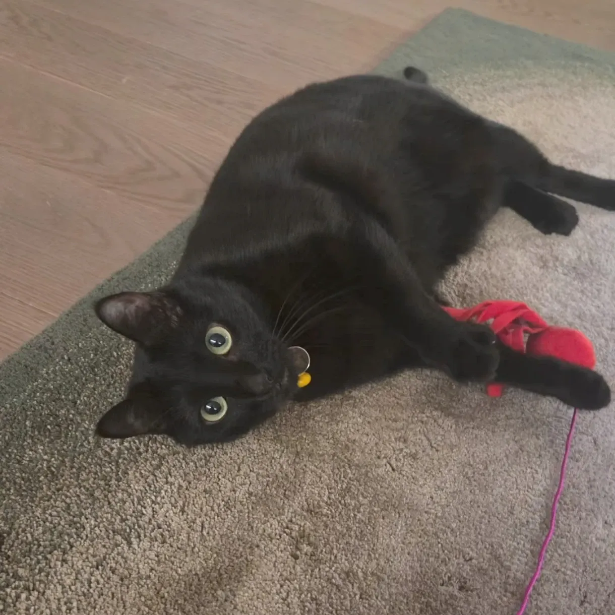 Behind-the-scenes cut of SUGA (BTS)