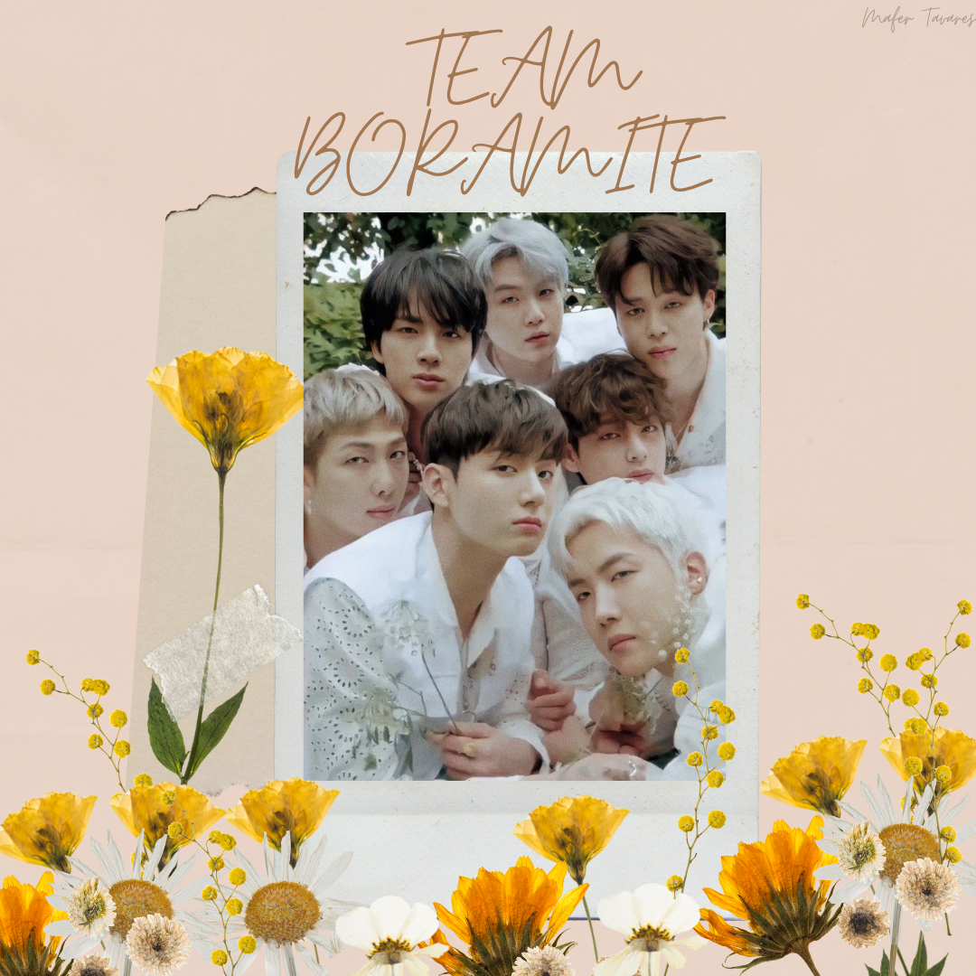 방탄소년단 팬이 찍은 순간