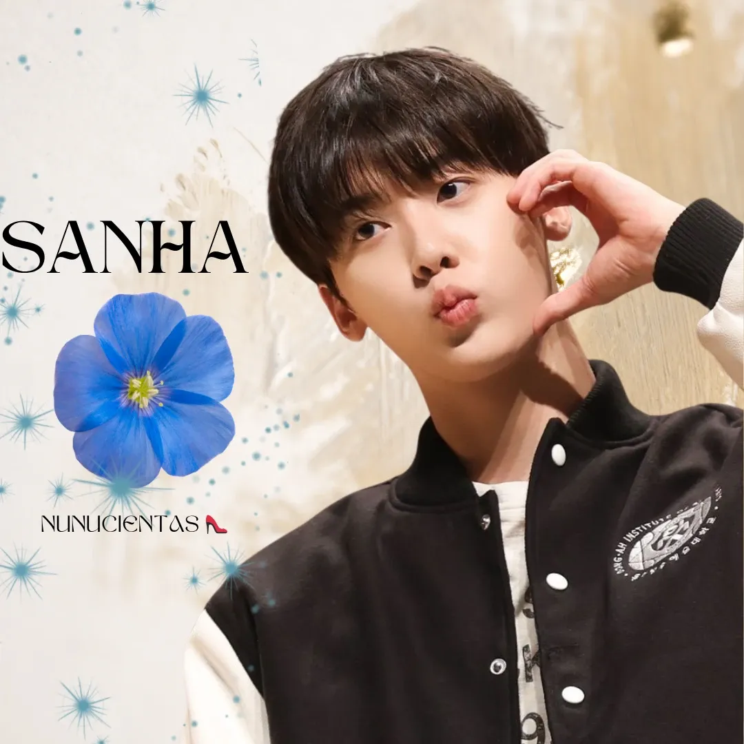 A moment captured by Sanha (ASTRO)'s fan