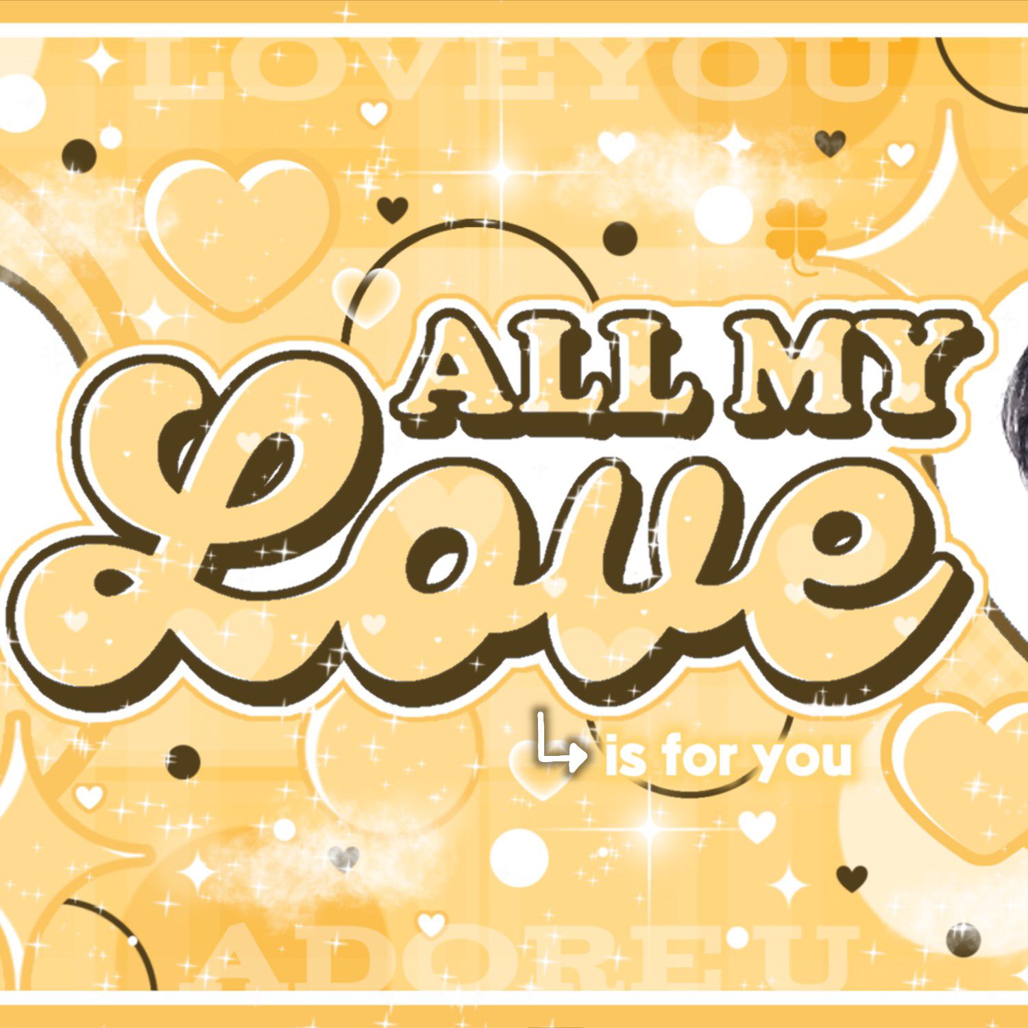 SEVENTEEN粉絲拍下的瞬間