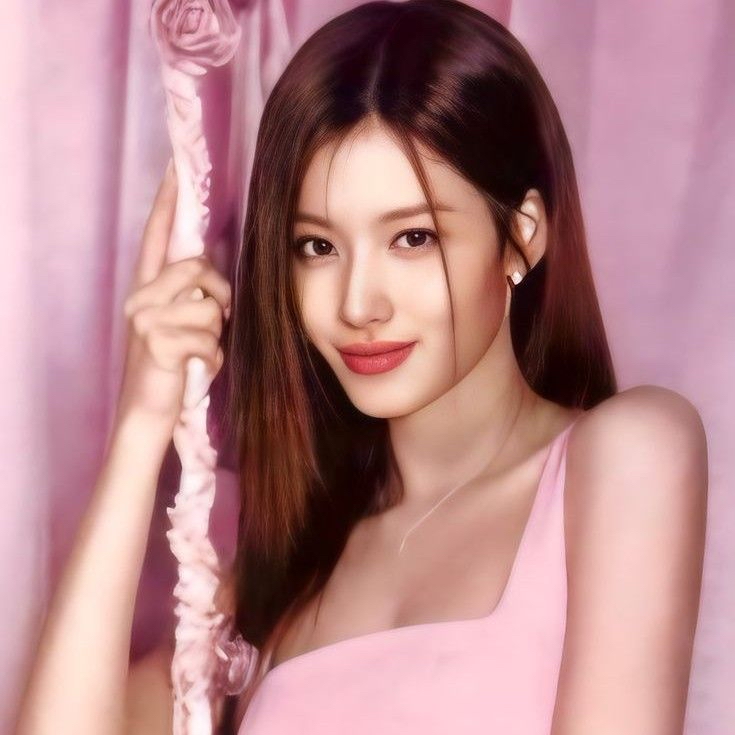 Recent activity shot of Sana (TWICE)