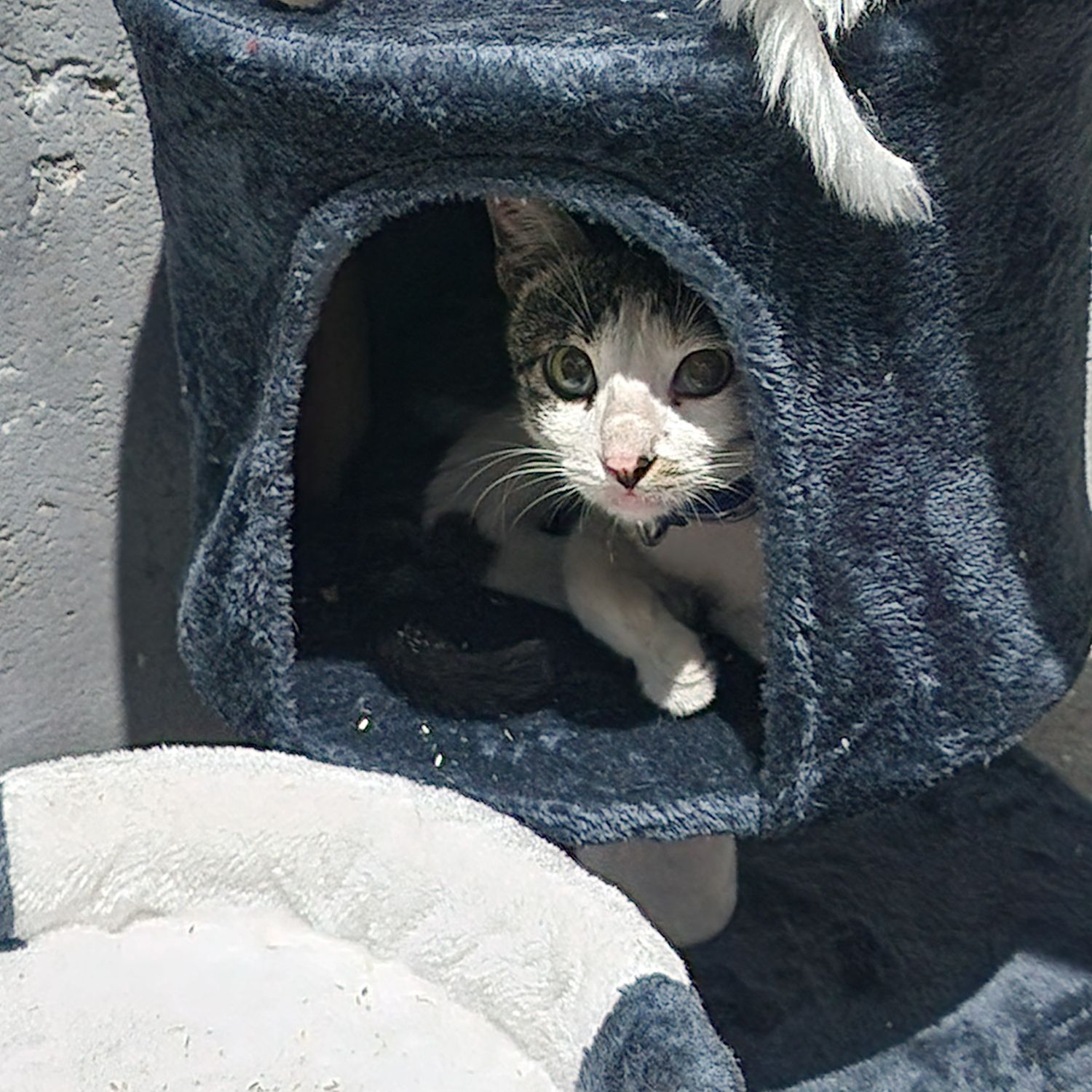 세븐틴 최근 활동샷