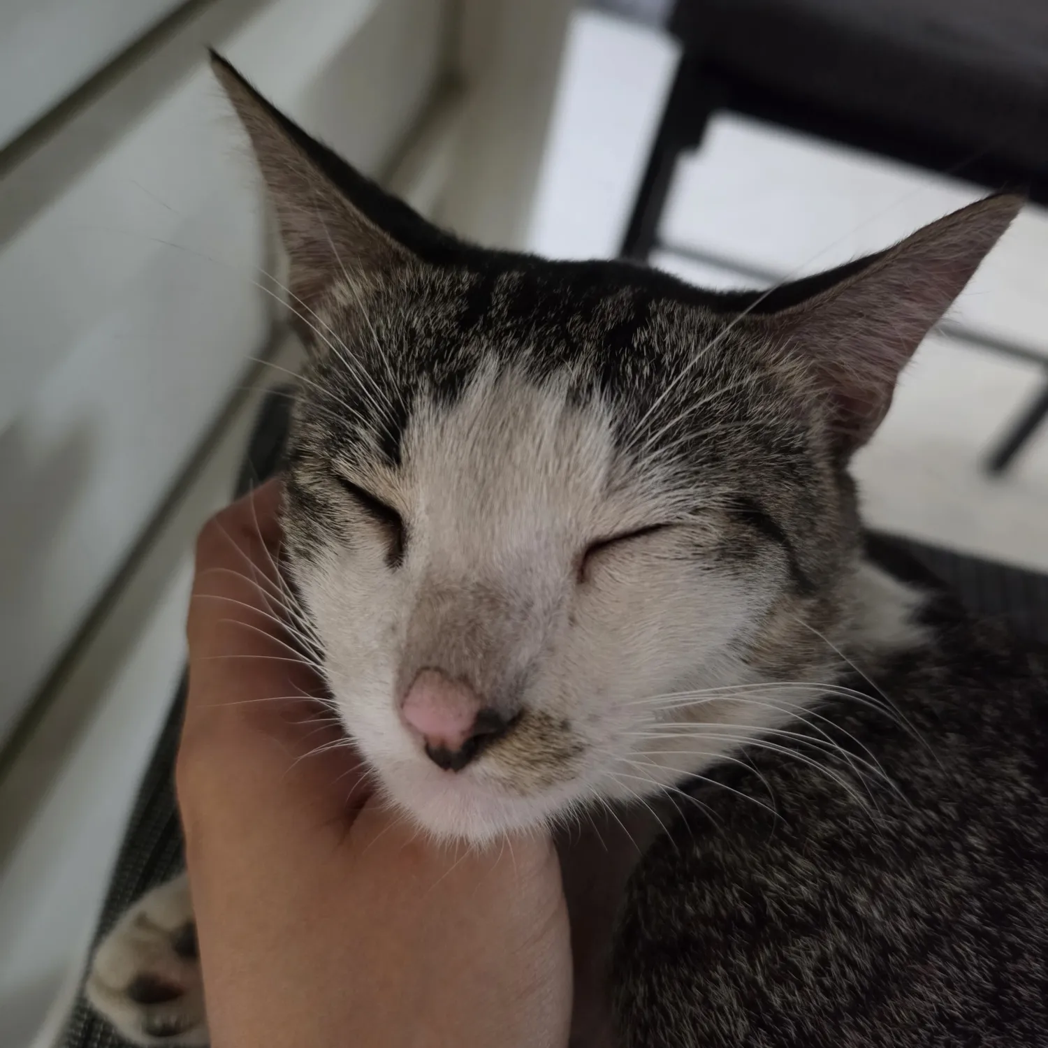 세븐틴의 최신 사진