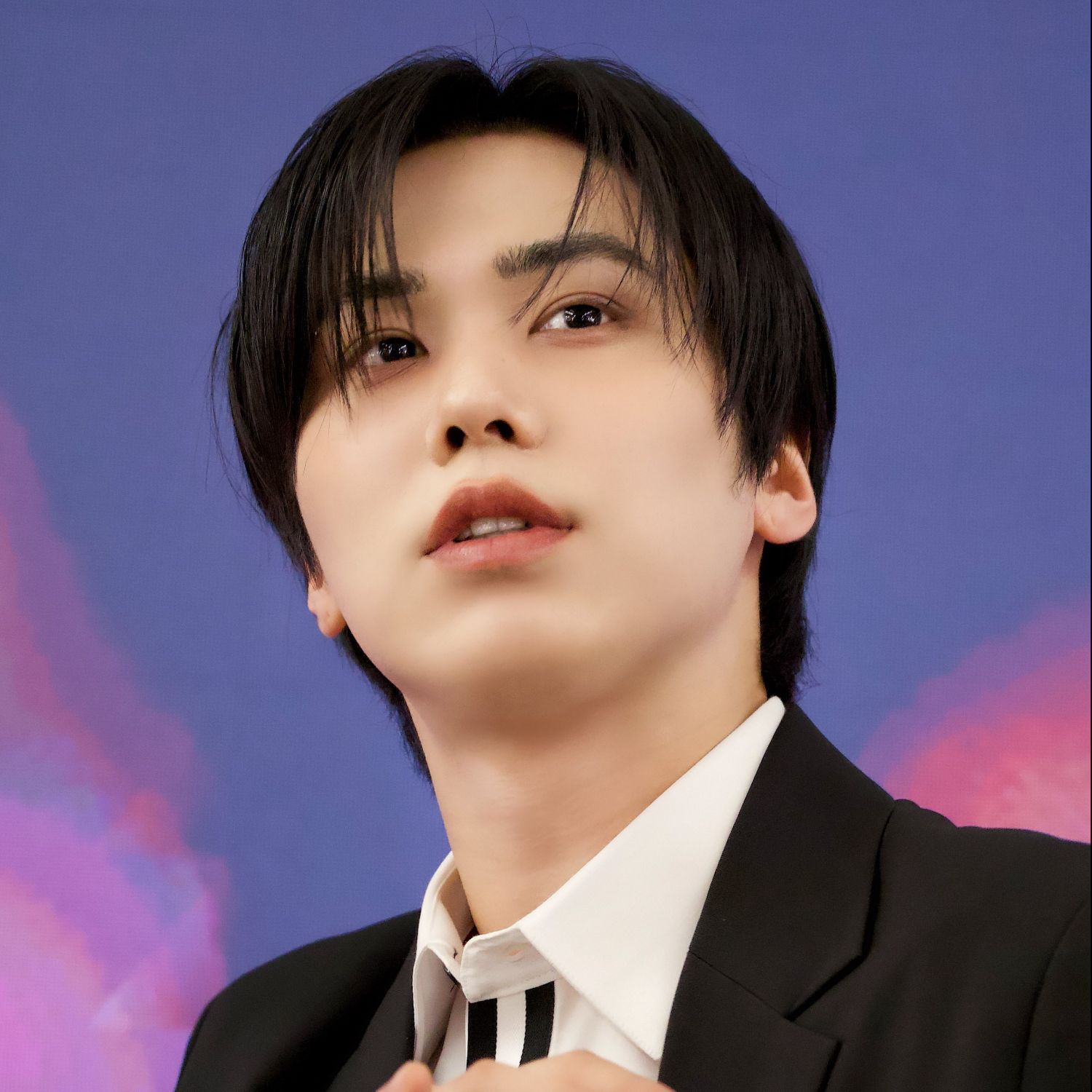 Recent activity shot of Rocky