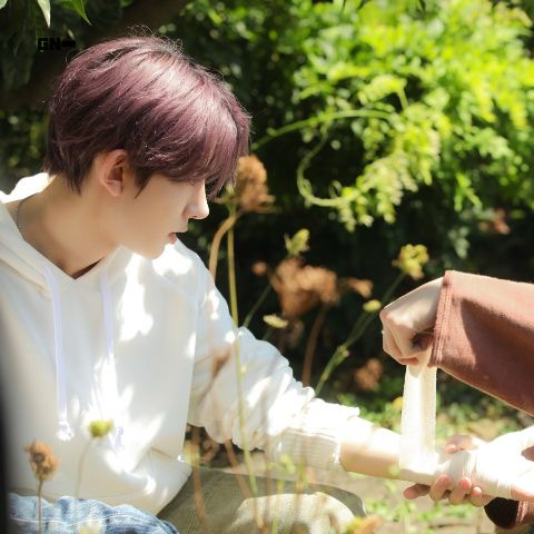 ENHYPEN 팬이 찍은 순간