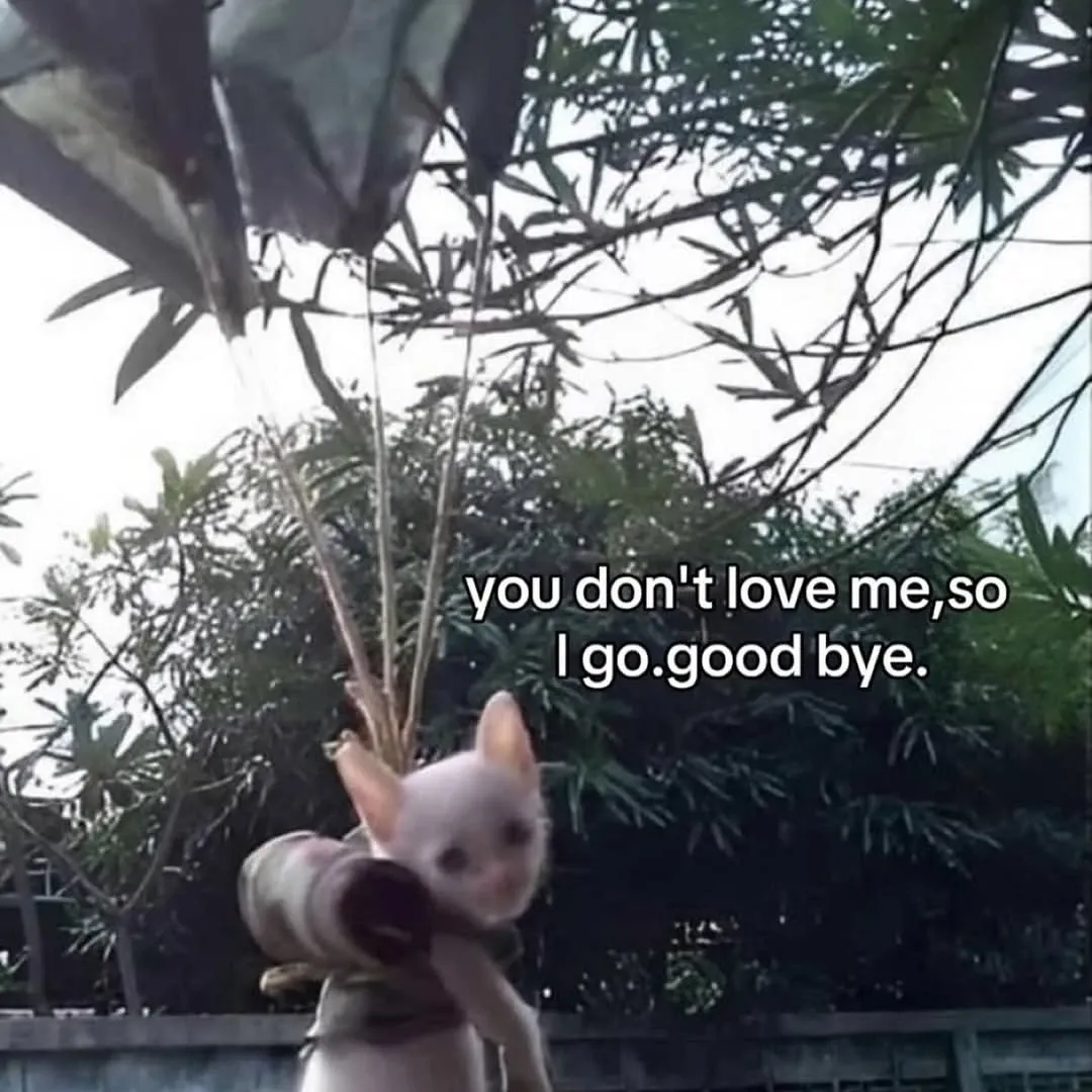 Momen yang diabadikan oleh penggemar EXO