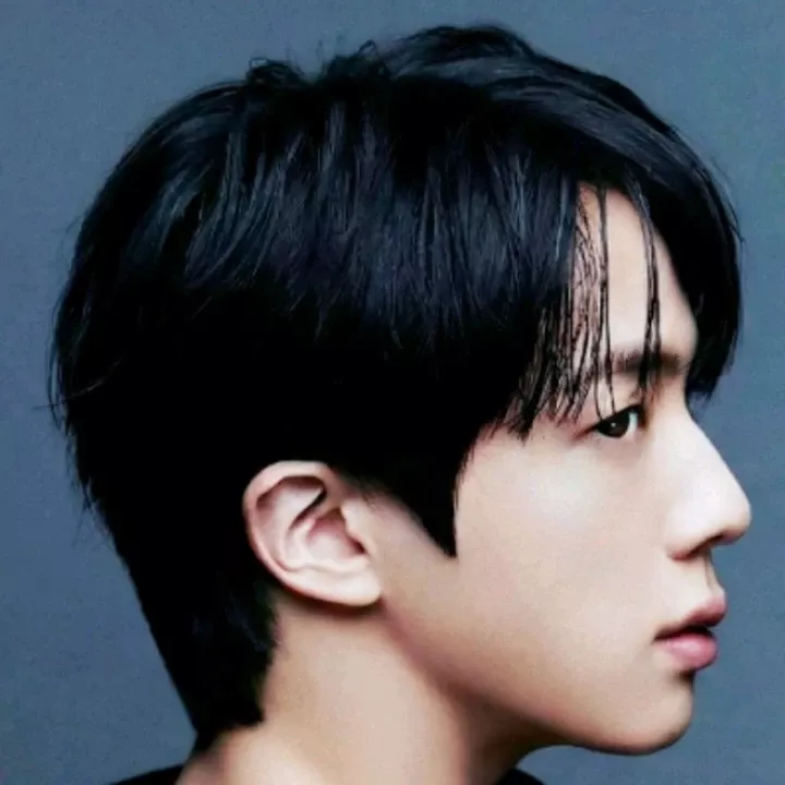 진 (방탄소년단) 최근 활동샷