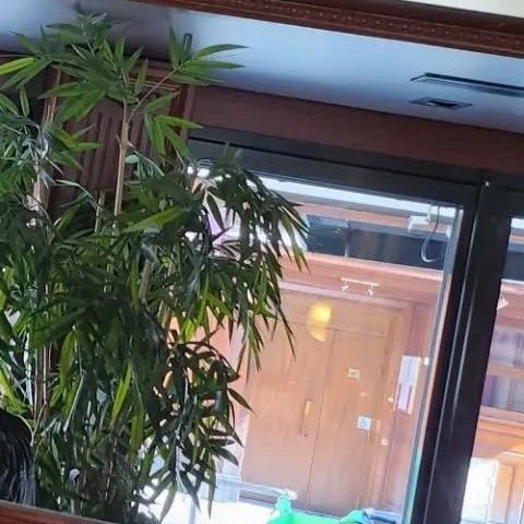 A moment captured by MAMAMOO's fan