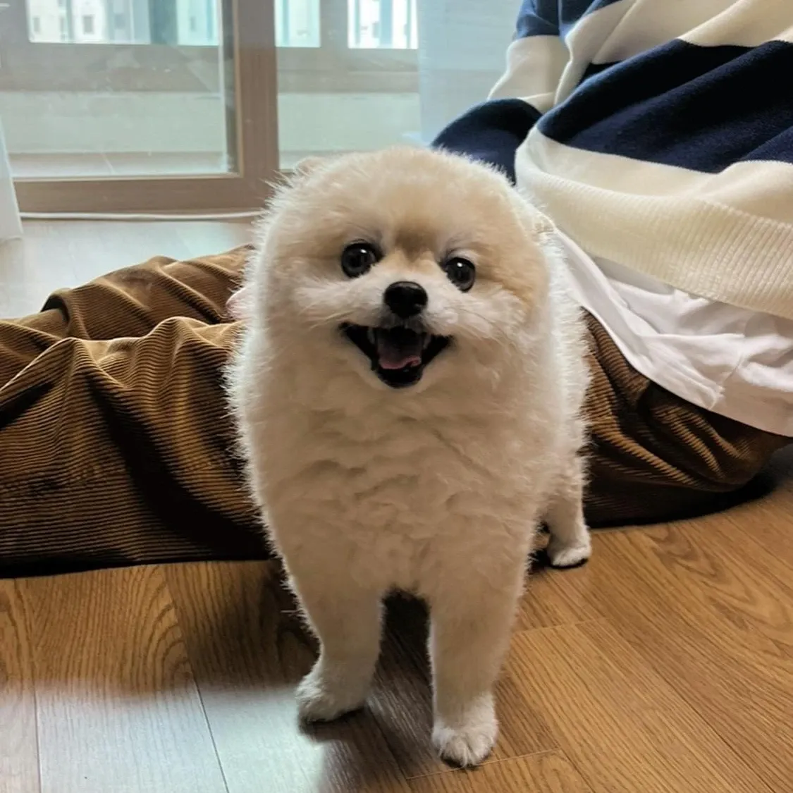 A moment captured by Moonbin (ASTRO)'s fan
