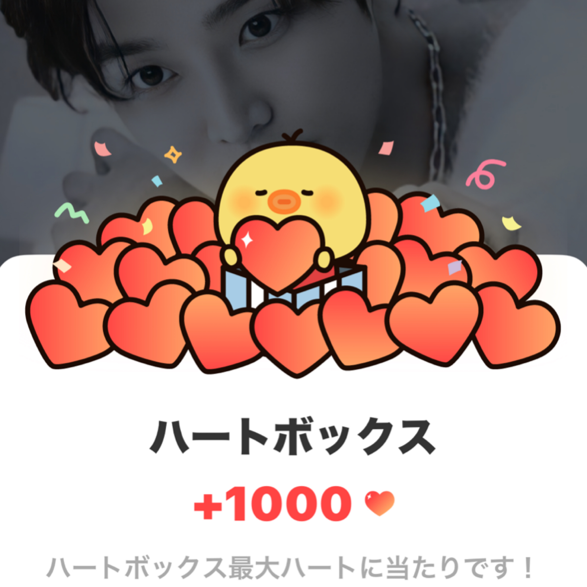 로운 최근 활동샷