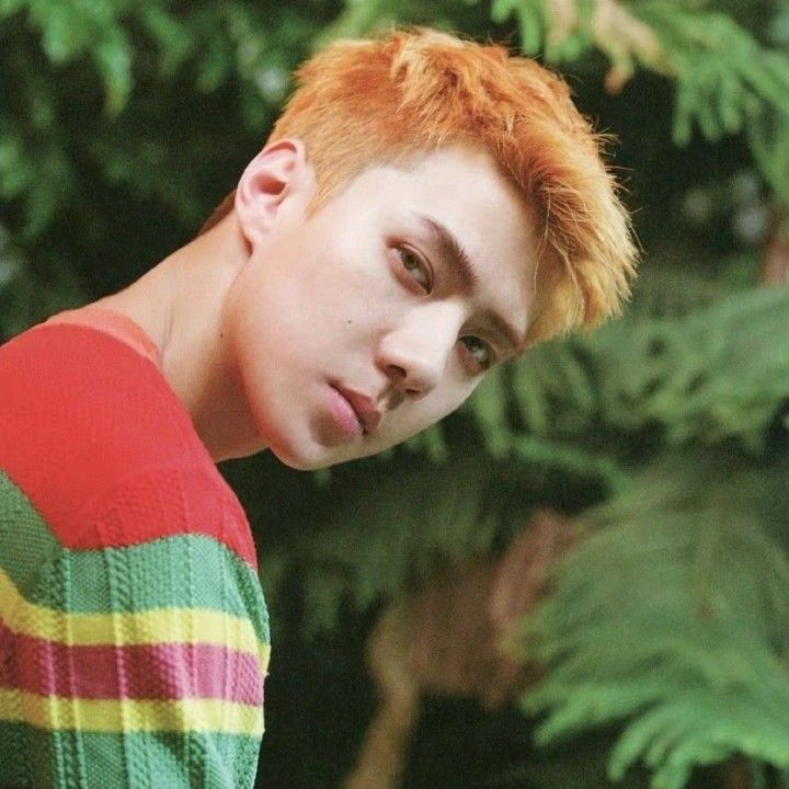 세훈 (EXO)의 최신 사진