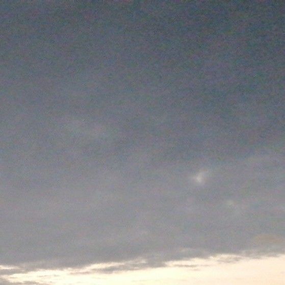 EXO 최근 활동샷