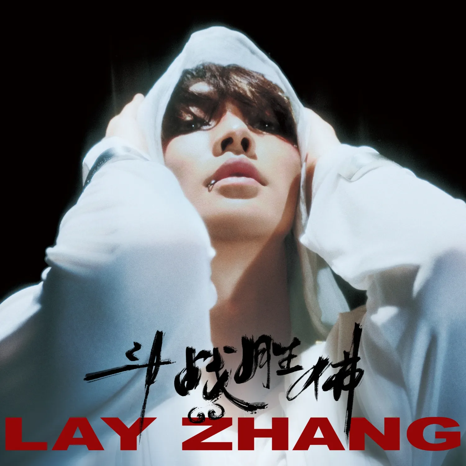 Latest photo of Lay (EXO)