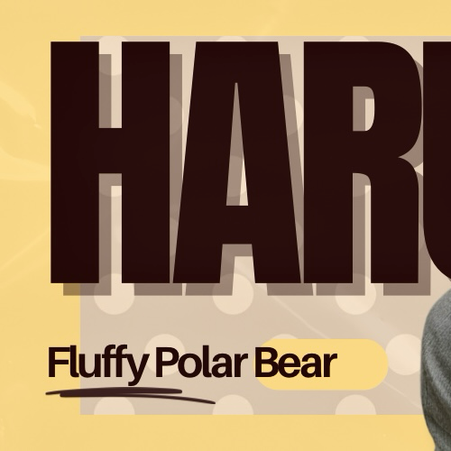 A moment captured by Haru (NEXZ)'s fan