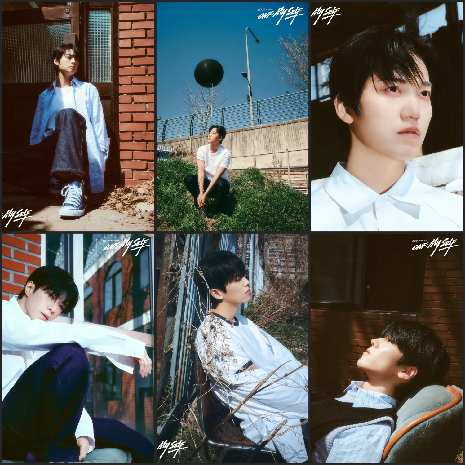 Recent activity shot of ONF
